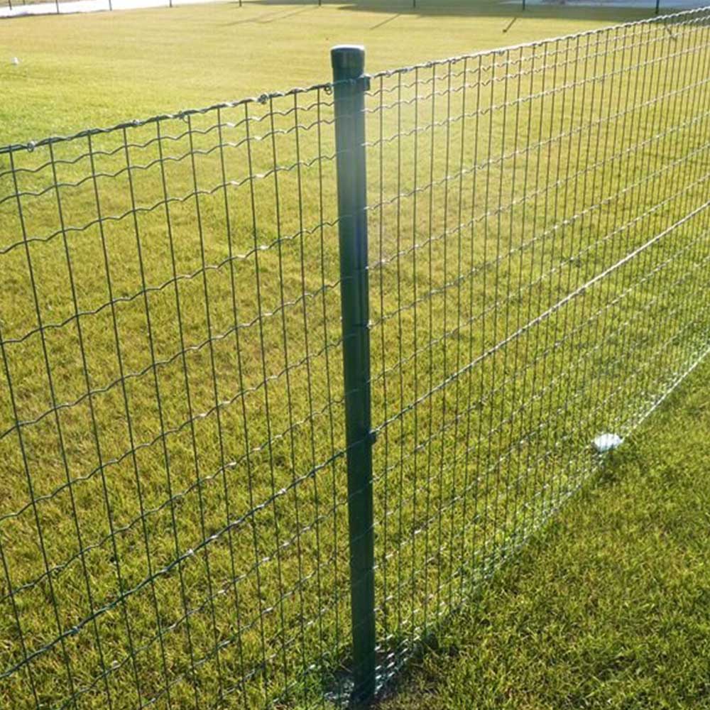 Euro fence mesh in rolls – Ekoloro.lt